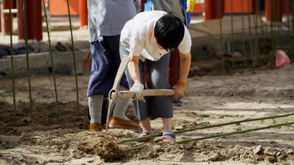 堂前翠竹亭亭立  悟得心空莫问禅