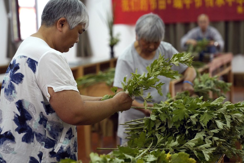 我们的节日 | 悦闻艾草香，端午颂安康